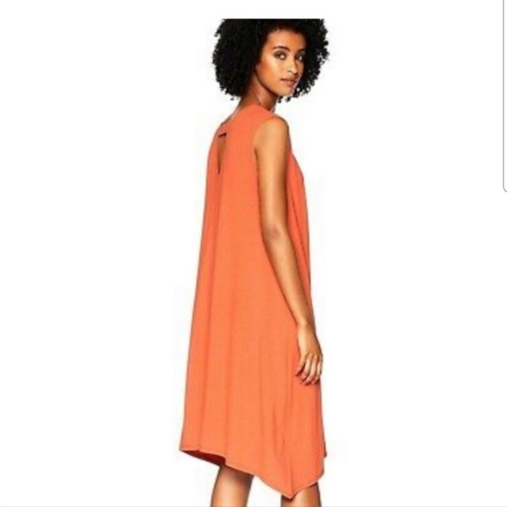 Eileen Fisher Dress Pekoe Small Shift Dress Coastal Grandma Beach Lagenlook